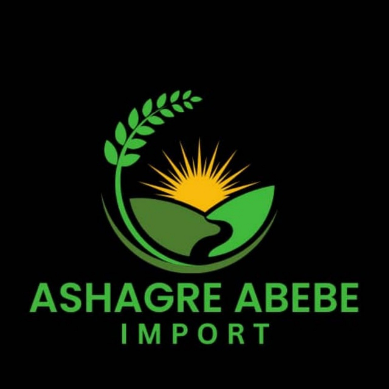 Ashagre Abebe Import logo